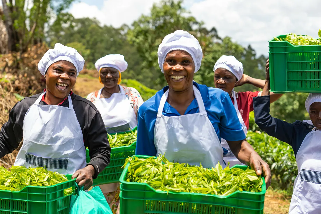 Women farmers holding crops.